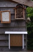 5 star insect hotels (Photo: Ryan Clarke)