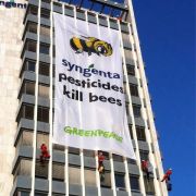Greenpeace campaign against Syngenta HQ, Basel