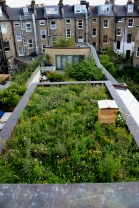 Beehive on green roof at The Muse Islington