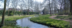 Meades Water Gardens Regeneration